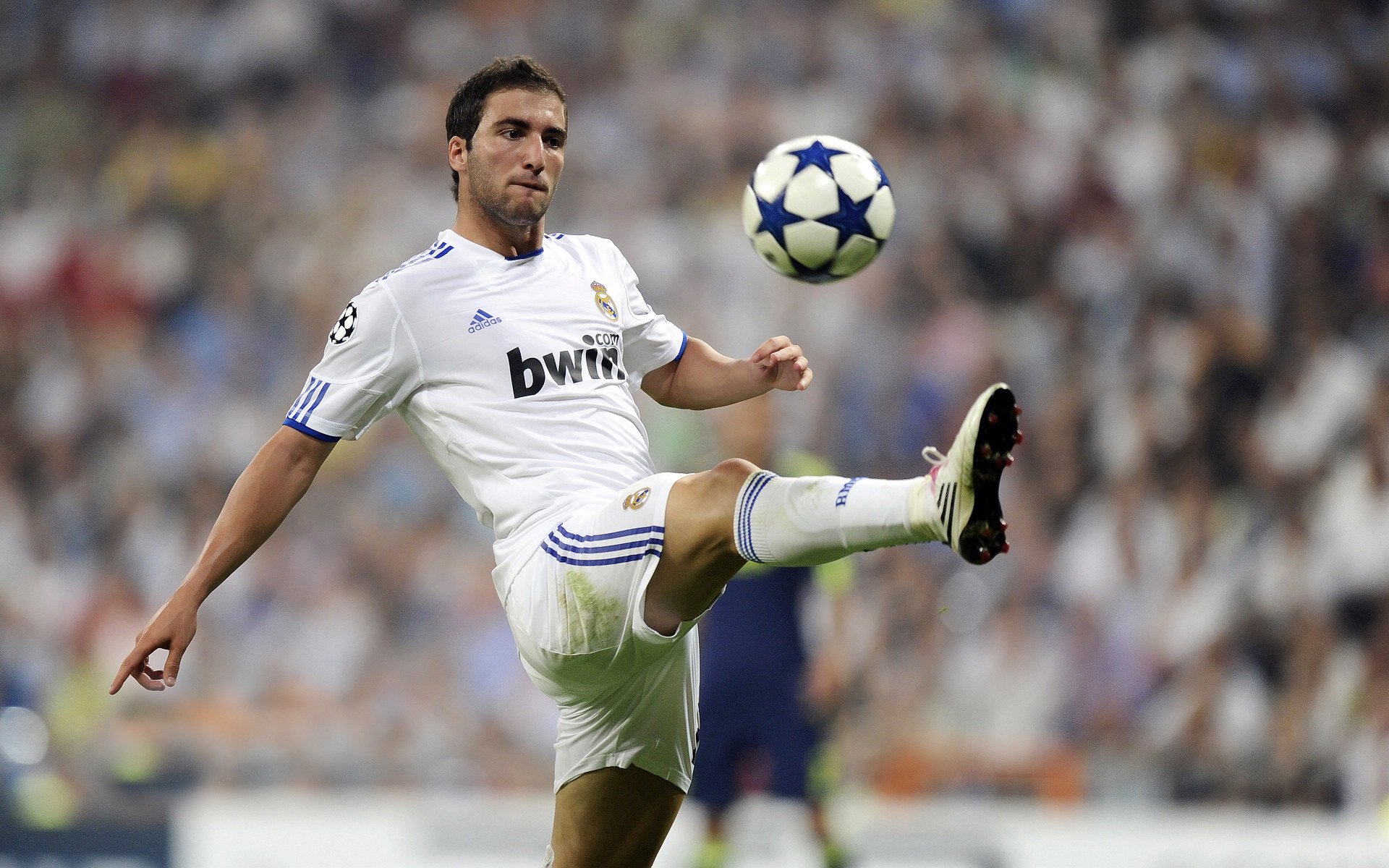 【体育精神】赛场上的公平与竞争,体现比赛的公平性